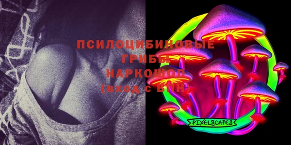 ПСИЛОЦИБИНОВЫЕ ГРИБЫ Алексин