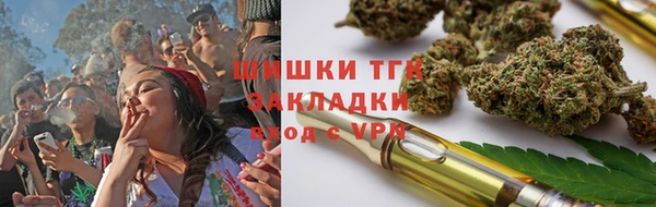 ПСИЛОЦИБИНОВЫЕ ГРИБЫ Алексин